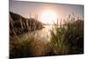 Reeds and Setting Sun at the Shore of Qiandao Lake in Zhejiang Province, China, Asia-Andreas Brandl-Mounted Photographic Print