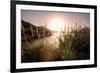 Reeds and Setting Sun at the Shore of Qiandao Lake in Zhejiang Province, China, Asia-Andreas Brandl-Framed Photographic Print