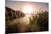 Reeds and Setting Sun at the Shore of Qiandao Lake in Zhejiang Province, China, Asia-Andreas Brandl-Mounted Photographic Print