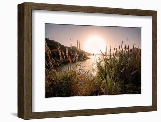 Reeds and Setting Sun at the Shore of Qiandao Lake in Zhejiang Province, China, Asia-Andreas Brandl-Framed Photographic Print