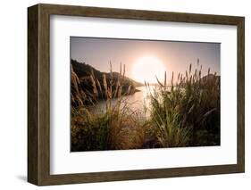 Reeds and Setting Sun at the Shore of Qiandao Lake in Zhejiang Province, China, Asia-Andreas Brandl-Framed Photographic Print