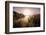 Reeds and Setting Sun at the Shore of Qiandao Lake in Zhejiang Province, China, Asia-Andreas Brandl-Framed Photographic Print