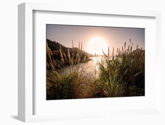 Reeds and Setting Sun at the Shore of Qiandao Lake in Zhejiang Province, China, Asia-Andreas Brandl-Framed Photographic Print