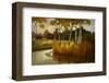 Reeds Birchs and Water II-Graham Reynolds-Framed Art Print