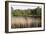 Reeds by the River Yare, Norfolk, England, United Kingdom-Charcrit Boonsom-Framed Photographic Print