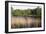 Reeds by the River Yare, Norfolk, England, United Kingdom-Charcrit Boonsom-Framed Photographic Print