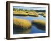 Reeds Growing in Marsh, Maine, USA-Scott T^ Smith-Framed Photographic Print