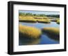 Reeds Growing in Marsh, Maine, USA-Scott T^ Smith-Framed Photographic Print
