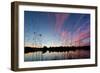 Reeds in a Pen Pond in Richmond Park Silhouetted at Sunset-Alex Saberi-Framed Premium Photographic Print