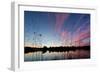 Reeds in a Pen Pond in Richmond Park Silhouetted at Sunset-Alex Saberi-Framed Premium Photographic Print