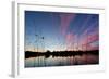 Reeds in a Pen Pond in Richmond Park Silhouetted at Sunset-Alex Saberi-Framed Photographic Print