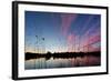 Reeds in a Pen Pond in Richmond Park Silhouetted at Sunset-Alex Saberi-Framed Photographic Print