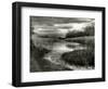 Reeds in Winter-Stephen Arens-Framed Photographic Print