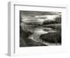 Reeds in Winter-Stephen Arens-Framed Photographic Print