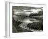 Reeds in Winter-Stephen Arens-Framed Photographic Print