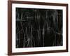 Reeds, Oregon, 1975-Brett Weston-Framed Photographic Print