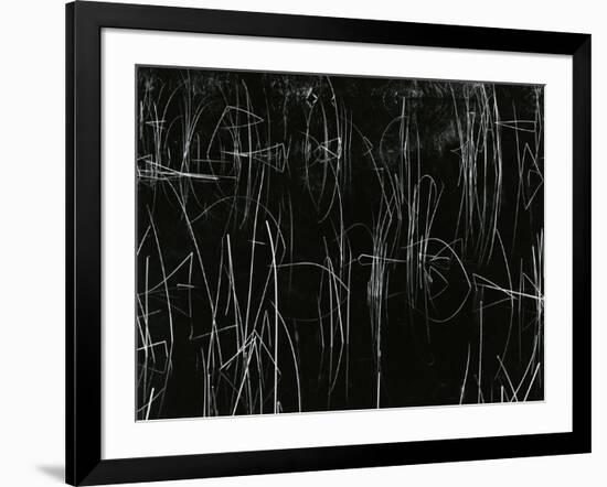 Reeds, Oregon, 1975-Brett Weston-Framed Photographic Print