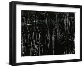Reeds, Oregon, 1975-Brett Weston-Framed Premium Photographic Print