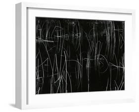 Reeds, Oregon, 1975-Brett Weston-Framed Premium Photographic Print