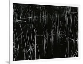 Reeds, Oregon, 1975-Brett Weston-Framed Photographic Print