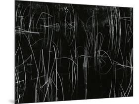 Reeds, Oregon, 1975-Brett Weston-Mounted Photographic Print