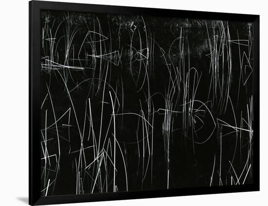 Reeds, Oregon, 1975-Brett Weston-Framed Photographic Print