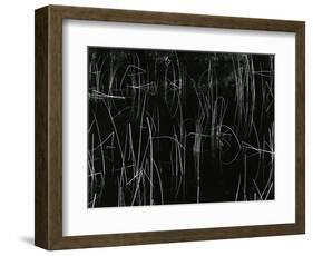 Reeds, Oregon, 1975-Brett Weston-Framed Photographic Print