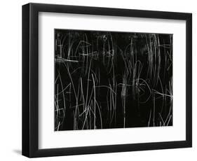 Reeds, Oregon, 1975-Brett Weston-Framed Photographic Print