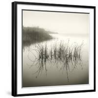 Reeds-Michael Kahn-Framed Giclee Print