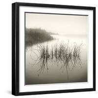 Reeds-Michael Kahn-Framed Giclee Print