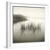 Reeds-Michael Kahn-Framed Giclee Print