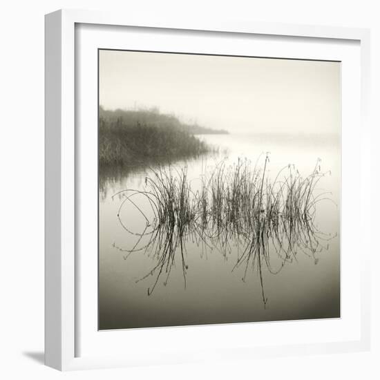 Reeds-Michael Kahn-Framed Giclee Print