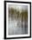 Reeds-Doug Chinnery-Framed Photographic Print