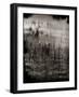 Reeds-Lydia Marano-Framed Photographic Print