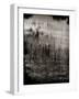 Reeds-Lydia Marano-Framed Photographic Print