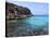 Reef and Sea, Cala Rossa, Favignana Island, Trapani, Sicily, Italy, Mediterranean, Europe-Vincenzo Lombardo-Stretched Canvas