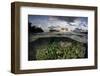 Reef-Building Corals Thrive on a Reef in the Solomon Islands-Stocktrek Images-Framed Photographic Print