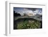 Reef-Building Corals Thrive on a Reef in the Solomon Islands-Stocktrek Images-Framed Photographic Print