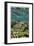 Reef Crest with Sea Star-Jones-Shimlock-Framed Giclee Print