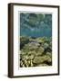 Reef Crest with Sea Star-Jones-Shimlock-Framed Giclee Print