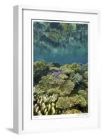 Reef Crest with Sea Star-Jones-Shimlock-Framed Giclee Print