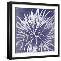 Reef I-Maria Mendez-Framed Giclee Print