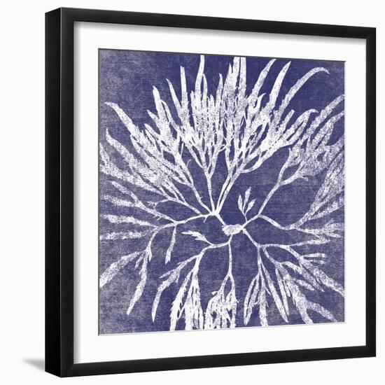 Reef I-Maria Mendez-Framed Giclee Print