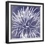 Reef I-Maria Mendez-Framed Giclee Print