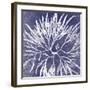 Reef I-Maria Mendez-Framed Giclee Print