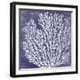 Reef III-Maria Mendez-Framed Giclee Print