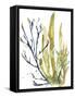 Reef Illusion I-Jennifer Goldberger-Framed Stretched Canvas