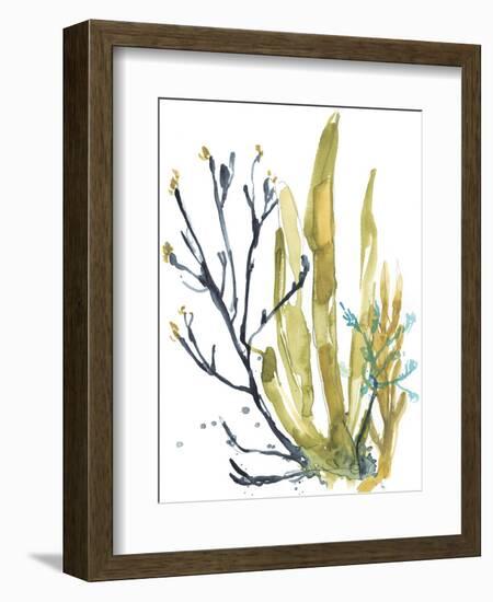 Reef Illusion I-Jennifer Goldberger-Framed Art Print