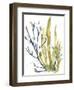 Reef Illusion I-Jennifer Goldberger-Framed Art Print