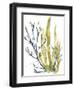 Reef Illusion I-Jennifer Goldberger-Framed Art Print